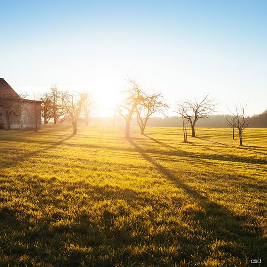 Lorem ipsum dolor sit amet, consectetur adipiscing elit, sed do eiusmod tempor incididunt ut labore et dolore magna aliqua.