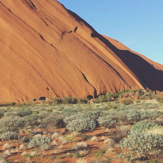 Lorem ipsum dolor sit amet, consectetur adipiscing elit, sed do eiusmod tempor incididunt ut labore et dolore magna aliqua.