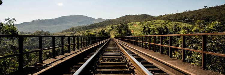 Nam sit amet fringilla nibh