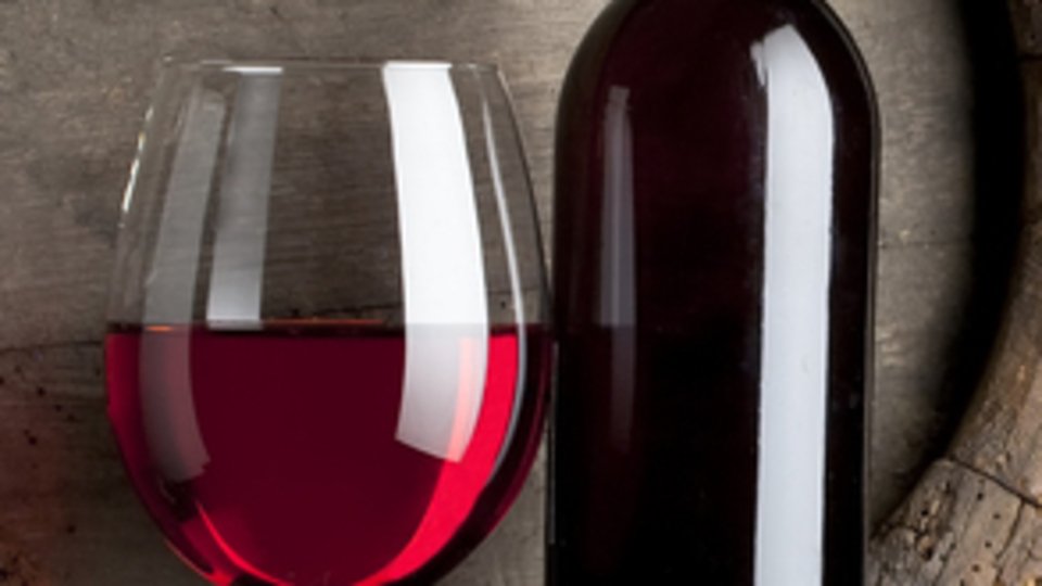 Integer pharetra, eros at tempus elementum