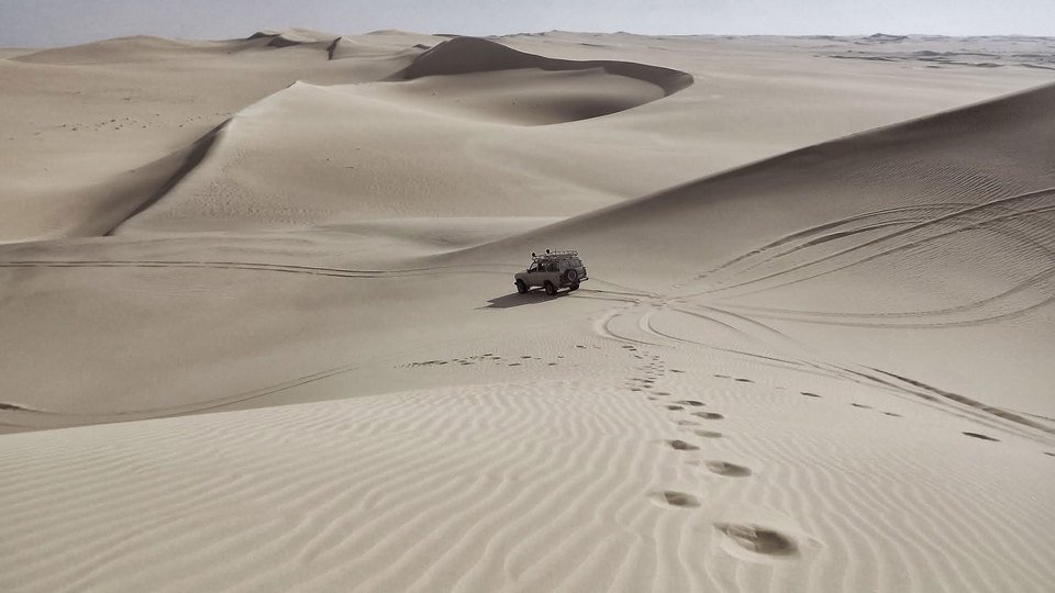 Quisque tincidunt dignissim sem sed efficitur