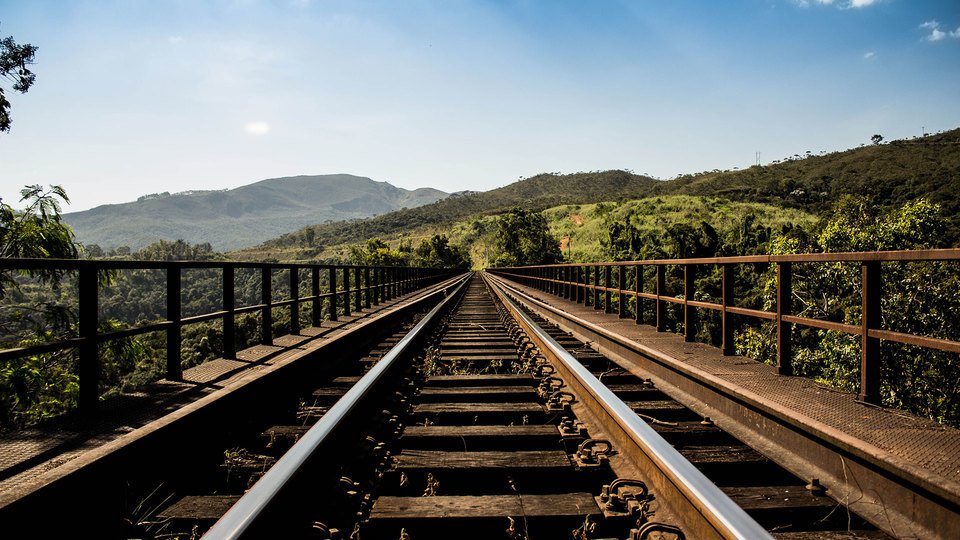 Nam sit amet fringilla nibh